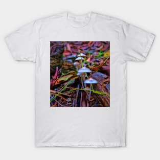 Delicate fungi in forest T-Shirt